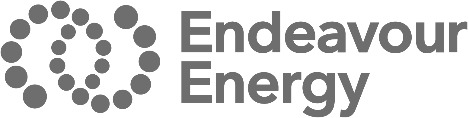 Endeavour Energy